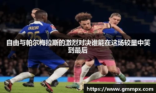 自由与帕尔梅拉斯的激烈对决谁能在这场较量中笑到最后