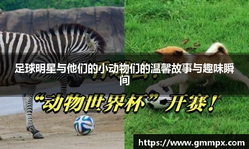 zoty中欧官方网站